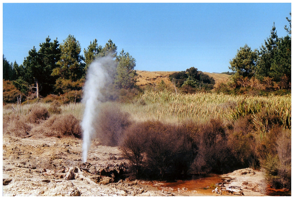 02 - Rotourua (9).jpg